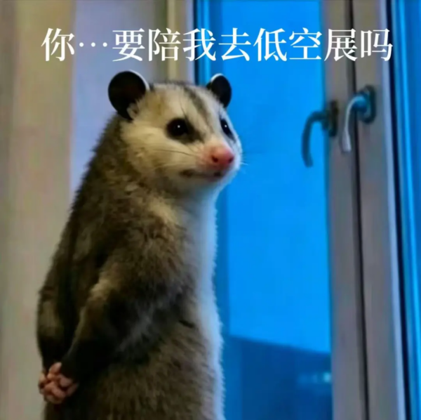 观展登记 | 2026国际低空经济博览会观众预登记开启,解锁低空时代新机遇,附观众免费登记入口 11 11 6