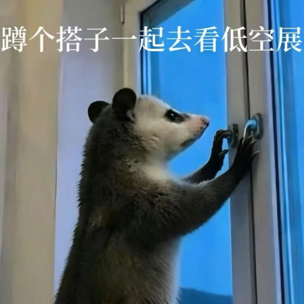 观展登记 | 2026国际低空经济博览会观众预登记开启,解锁低空时代新机遇,附观众免费登记入口 12 12 5
