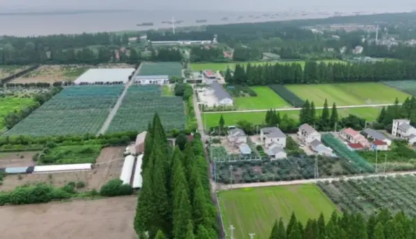 崇明这个低空经济产业综合体试运营丨低空应用 8 647